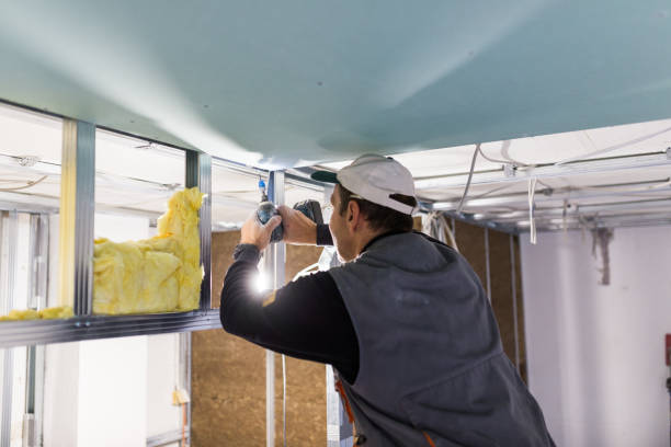 Garage Insulation Installation in St Louis, MI