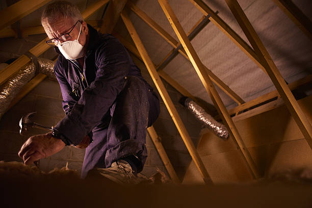 Best Residential Insulation Services  in St Louis, MI